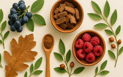 Tannins + Flavonoids