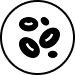 Swiss ApleAplem Cell
