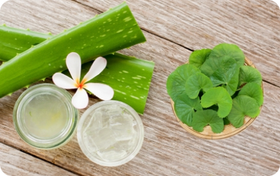 Swiss Apple Stem Cell