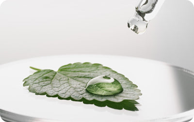 Plant-Based Hyaluronic Acid