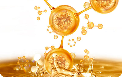 MSM (Dimethyl Sulfone