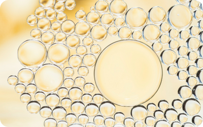 Hyaluronic Acid + MSM